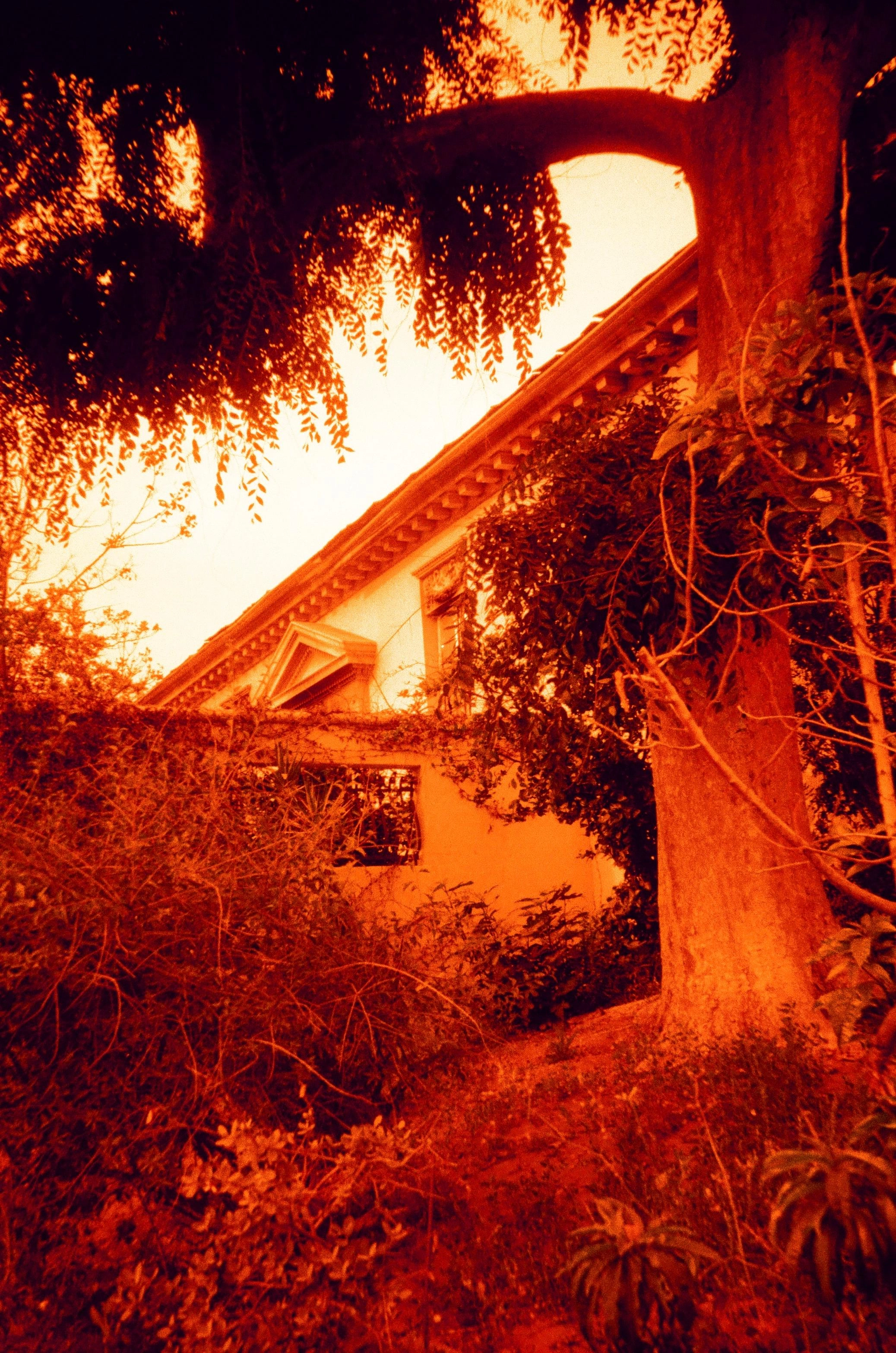 Altadena - 2025